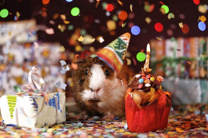 Psychotherapie Blog Miese Stimmung